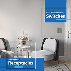 LIDER Matte Finish Decorator Switch