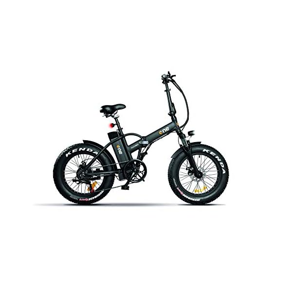 THE ONE Fat Bike ELETTRICA, Bici Unisex Adulto, Nero, no size -  ilMonopattinoElettrico.com
