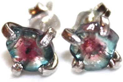 Tiny Blue Watermelon Tourmaline Stud Earrings