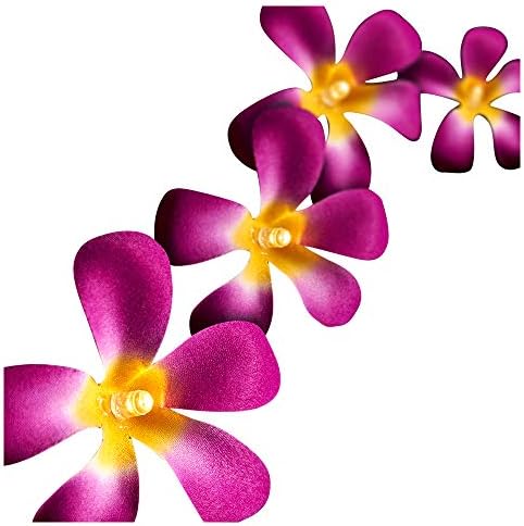 BLAZE ONยฎ Haute Couture Tropical Bloom Fairy Lights (Purple) - 20 LED - Mains Powered Beautifully Coloured Exotic Flower Decorative Lights - UK Plug + 1 Year Guarantee