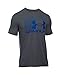 Under Armour UA Blitz Logo LG Carbon Heather