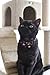 Necoichi Kimono Bow Tie Cat Collar (Purple)