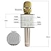 Wireless Karaoke Microphone, Rodzon Portable 3-in-1 Handled Multi-function Bluetooth Microphone and Built-in Speaker for Cellphone, PC and Smart Devices (Gold)