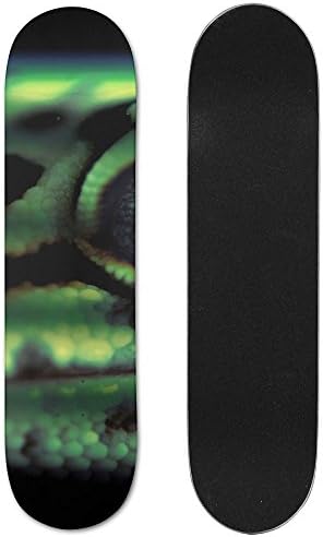Reptile Gecko Lizard Wallpaper Vogue Double Warped Skateboard Deluxe Longboard Skate Boards
