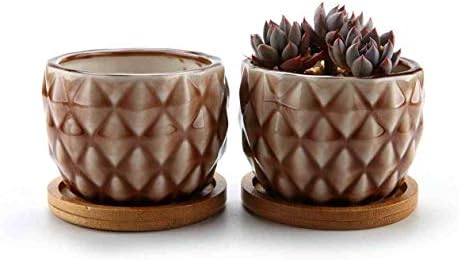 ComSaf 8.3CM Ceramic Succulent Cactus Planter Pot Set with Bamboo Tray Pack of 2 - Pineapple Shape Brown, Home and Office Decoration Desktop Windowsill Bonsai Pots Wedding Birthday