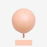 Eanjia 5" Pastel Light Blush Latex Balloons100pcs Blush Champagne Latex Balloons for Girl Birthday Wedding Baby Shower Engage