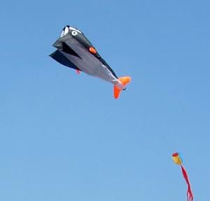 Amazon.com: Hivel 3D Frameless Dolphin Kite Skeleton Free