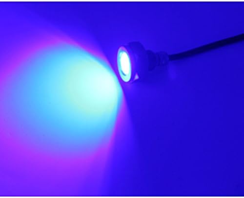 AMRW-DPLSS-BLUE * Stainless Steel Drain Plug LED Blue Light
