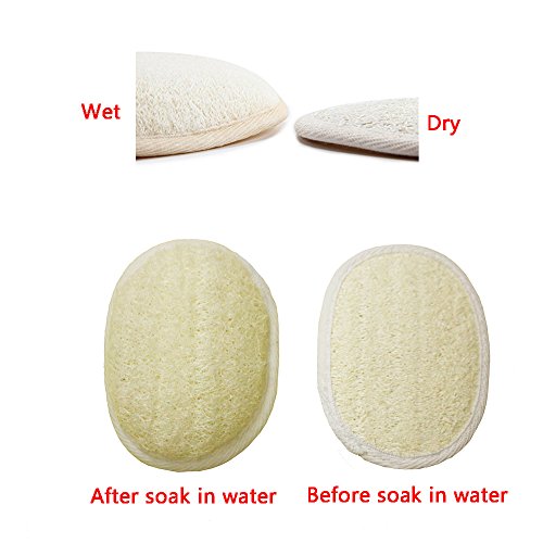 Loofah Exfoliating Back Scrubber For Shower, Double Side Scrubbing Strap, Body Bath Sponge with 100% Natural Luffa, Back Washer for Men and Women