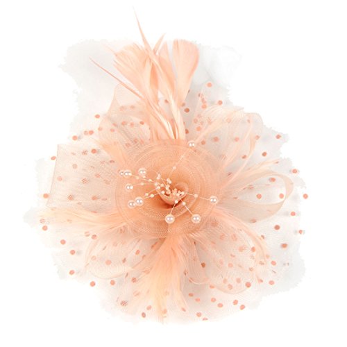 Wcysin Flower Cocktail Tea Party Headwear Feather Fascinators Top Hat for Girls and Women (Beige)