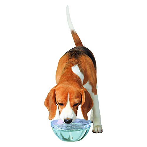 BreathVet Dog Mouthwash Water Additive Fights Plaque and Tartar