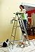 Louisville Ladder 3-Foot Aluminum Step Ladder, 225-Pound Capacity, AS4003