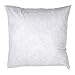 Famous Maker White x 24in Feather/Down Pillow Form