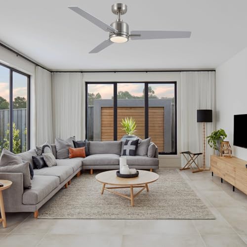 Newday Ceiling Fan, Silver and Wood, 48 Inch Ceiling Fan with Dimmable Light and Silent Remote Control, Reversible Ceiling Fan, 3 Ceiling Pales with 3 Timer 6 Speeds