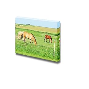 Canvas Prints Wall Art - Three Horses Grazing on Green Meadow | Modern Wall Decor/Home Art Stretched Gallery Canvas Wrap Giclee Print & Ready to Hang - 12" x 18"