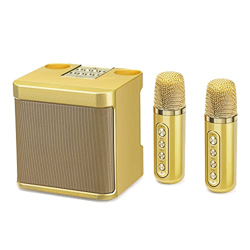 My daughter loves to entertain