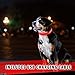 Sick Products LED Dog Collar, USB Rechargeable Light Up Pet Collar, Glowing Night Safety Collar Lights Up for Small, Medium, and Large Size Dogs