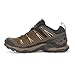 Salomon Men's X Ultra LTR GTX Hiking Shoe
