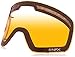 Dragon Alliance NFX Ski Goggles