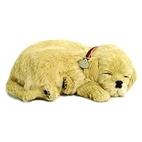 Perfect Petzzz Golden Retriever Plush