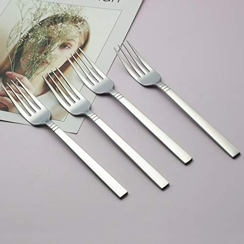 Morcte Stainless Steel Dinner Fork, 12 Pieces Fork Pricepulse