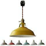 STGLIGHTING IronPendant Light Juno-Type Track Light