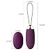 SVAKOM Vibrating Egg Rechargeable Wireless Waterproof Silicone Bullet Massager Mini Famale Vibrator Sex Toy