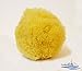 Natural Sea Sponge SEA NATURE BRAND 5-6 Grada Type for Home Cleaning or Body Bath ideal for Baby Bathing and Face Cleaning Guaranteed