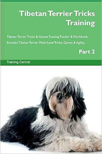 tibetan terrier training