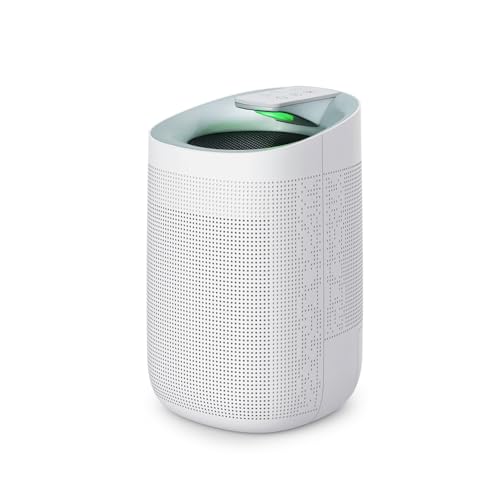 Wantech Q9 Air Purifier Dehumidifier