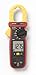 Amprobe AMP-210 Clamp Meter