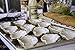 Loftin Oysters Ceramic Reusable Chargrilling, Cooking Oyster Shells, set of 12. Great for all Seafood.
