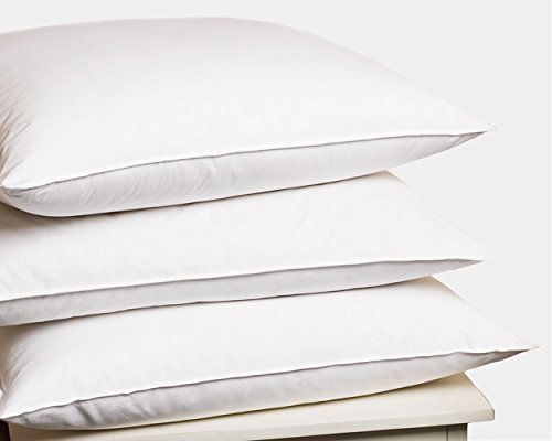 The Best Marriott Eco Smart Pillow of 2019 - Top 10, Best Value, Best