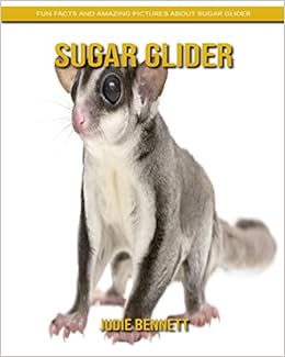 sugar glider amazon