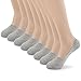 David Archy Women's 8 Pack Premium Cotton Low Cut No Show Basic Socks