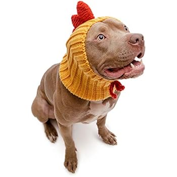 Zoo Snoods Rooster Chicken Dog Costume - Neck and Ear Warmer Headband (Large)