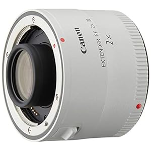 Canon EF 2.0X III Telephoto Extender for Canon Super Telephoto Lenses