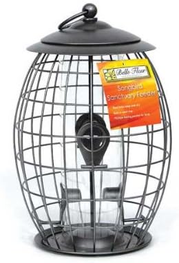 Amazon Com Belle Fleur Sweet Tweet Cafe Bird Feeder Garden Outdoor