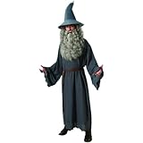 The Hobbit: Gandalf Adult Costume