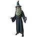 The Hobbit: Gandalf Adult Costume
