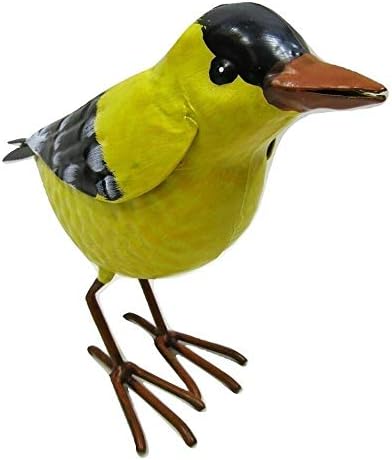 Amazon Com Small Rustic Summer American Goldfinch Finch Metal Tin