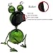 Solar Garden Lights Outdoor Garden Decoration Outdoor Flower Basin Solar Lamp Outdoor Access Drainage Lowerpot Spring Garden Logo Fairytale Garden Metal Animal Frog Statuette