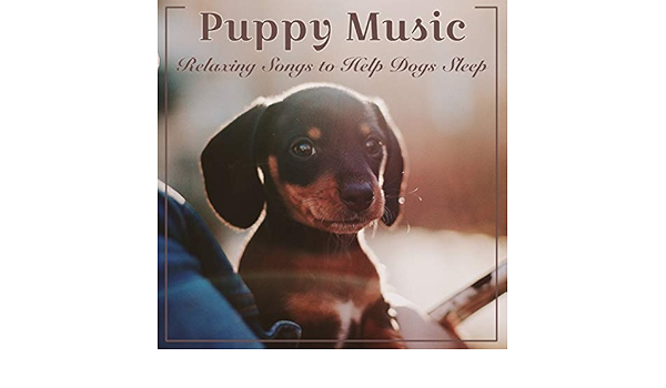 songs to help dogs sleep