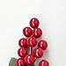 YSBER Christmas Berry Picks Artificial Glittered Berries Stems Decorations Great Addition to Any Christmas Decor, Crafts, Wreath, Garland or Tree (10PCS)