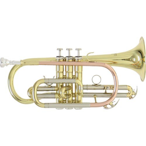 Roy Benson Student Pro Series Cornet Ã  pistons Sib CR-202 laiton verni