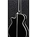 Ibanez AEG10II Cutaway Acoustic-Electric Guitar Black