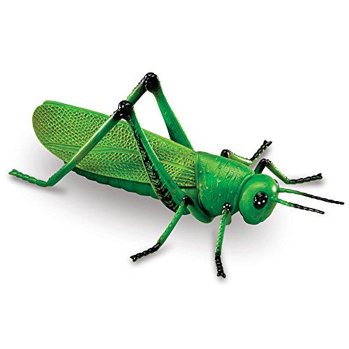 Learning Resources Jumbo Insects, 7-Insects