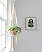 Mkono Macrame Hanging Planter Basket Plant Hanger Home Decor, Up to 8 Inch Flower Pot