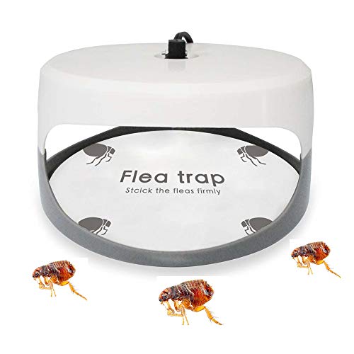 Flea Trap Refills 10 Packs, Sticky Dome Glue Board Replacement Pads