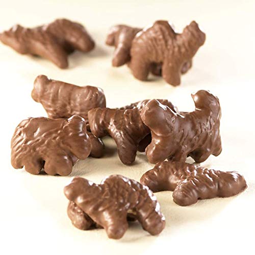 Asher's Chocolate, Chester's Critters, Gourmet Chocolate Covered Animal Crackers, Small Batches of Kosher Chocolate,Family Owned Since 1892 (5oz, Milk Chocolate)